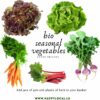 buy Fresh local vegetables online