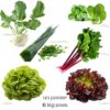buy online Fresh vegetables in Luxembourg from local farms