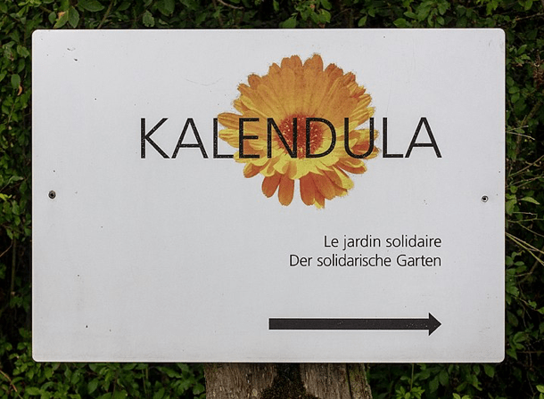 Jardin Kalendula